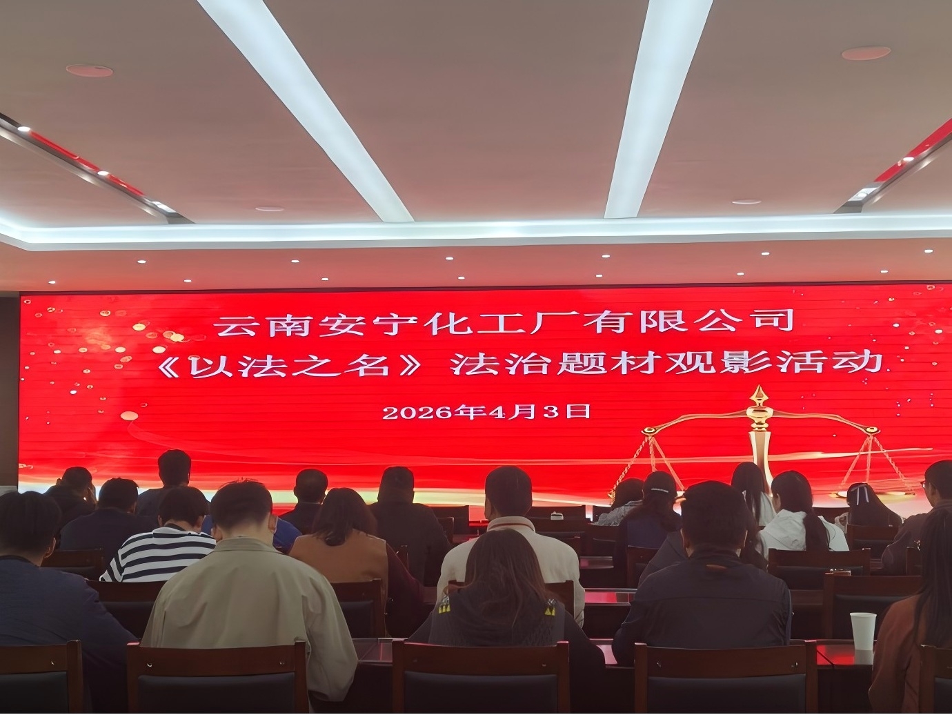 弘揚法治精神 筑牢法治理念——公司組織觀看法治題材電影《以法之名》